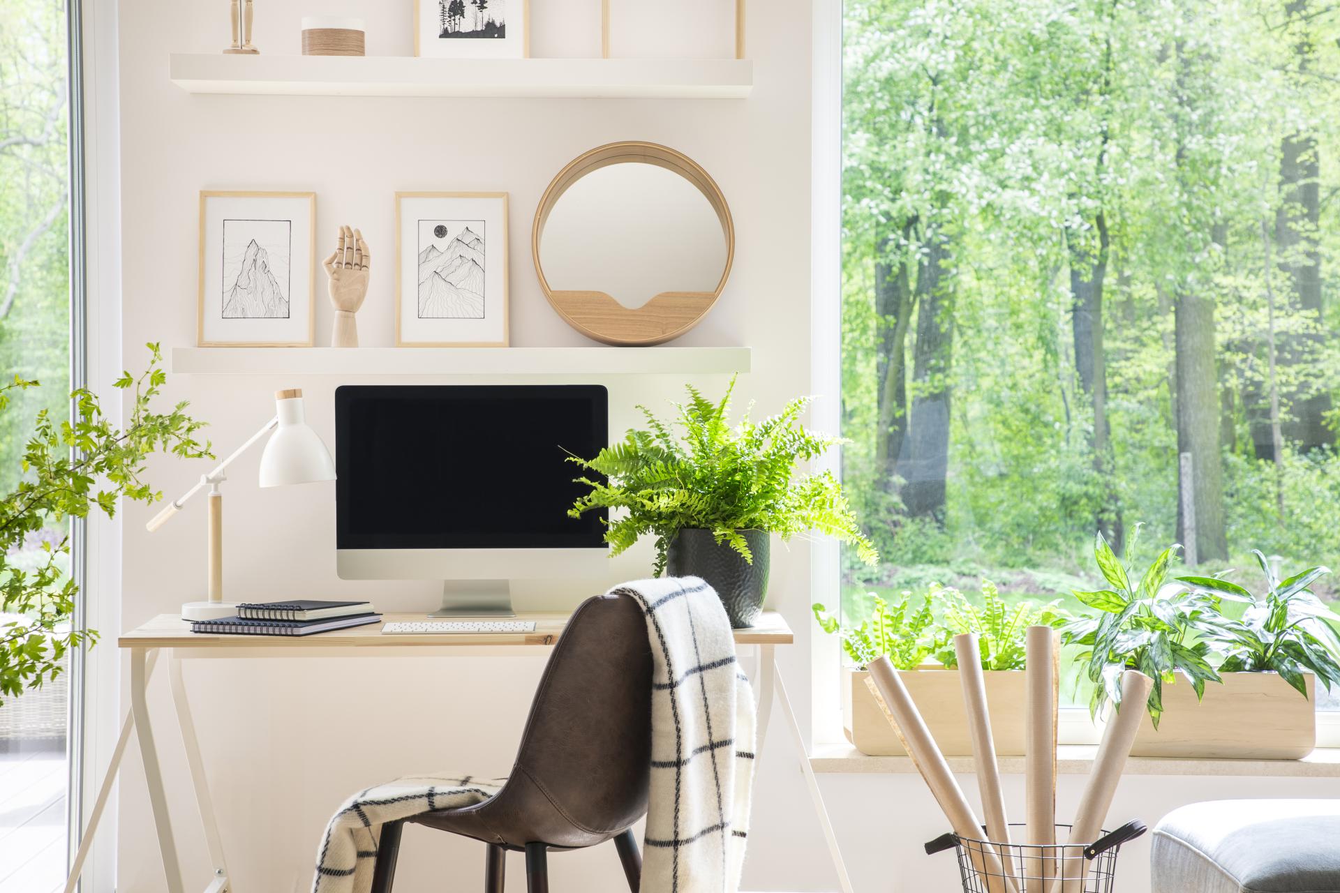 dodatki-biuro-rosliny-home-office-praca-zdalna